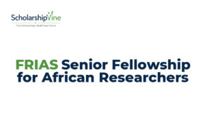FRIAS Senior Fellowship for African Researchers